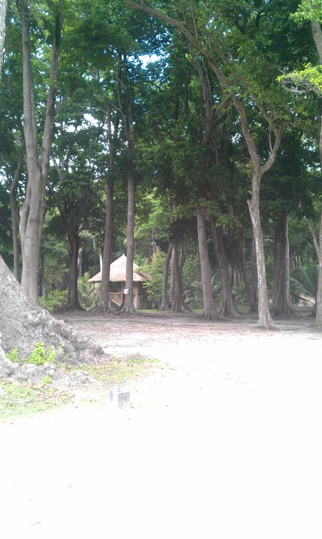 Image IMAG1783.jpg