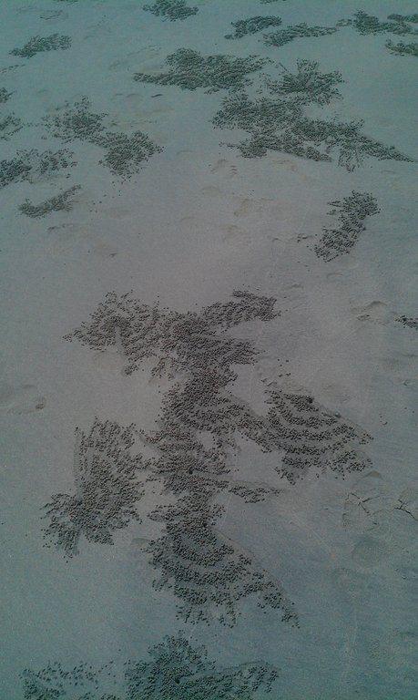 Image IMAG1818.jpg