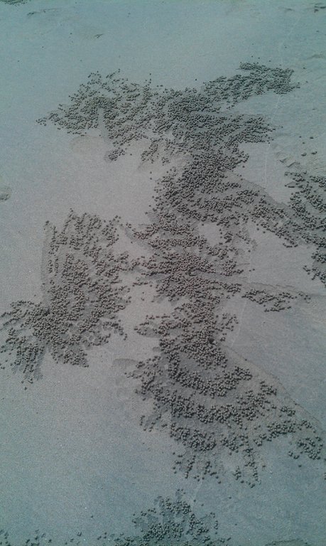Image IMAG1819.jpg