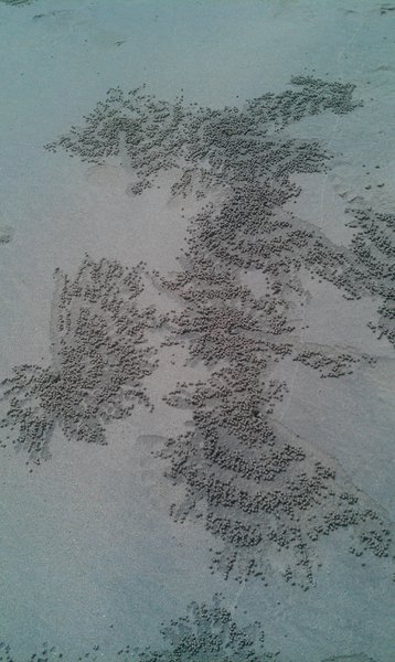 Image IMAG1819.jpg