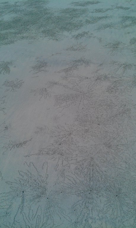 Image IMAG1821.jpg