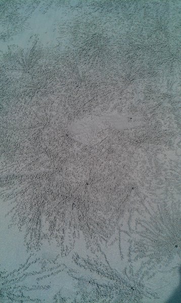 Image IMAG1822.jpg