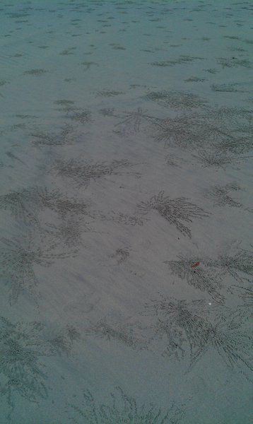 Image IMAG1823.jpg