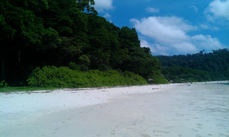 Image IMAG1826.jpg