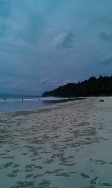 Image IMAG1829.jpg