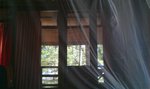 IMAG1880 thumb