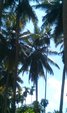 IMAG1913 thumb
