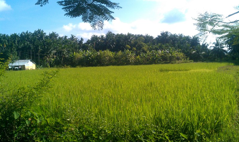 Image IMAG1957.jpg
