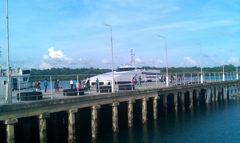 Image IMAG1972.jpg