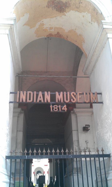 Image IMAG1318.jpg