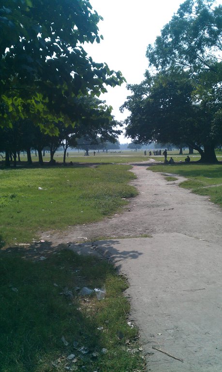 Image IMAG1328.jpg