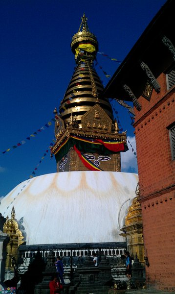 Image IMAG0495.jpg