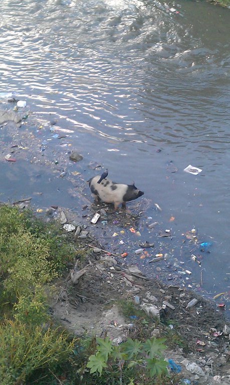 Image IMAG0511.jpg