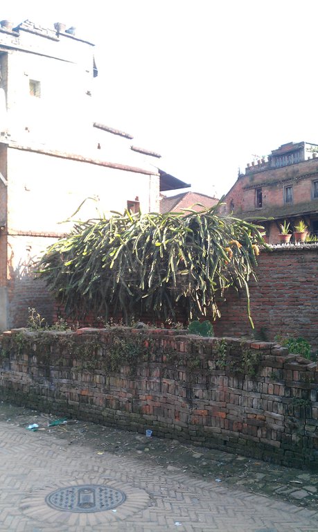 Image IMAG0583.jpg