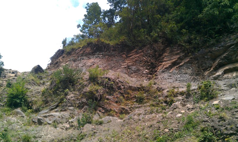 Image IMAG0672.jpg