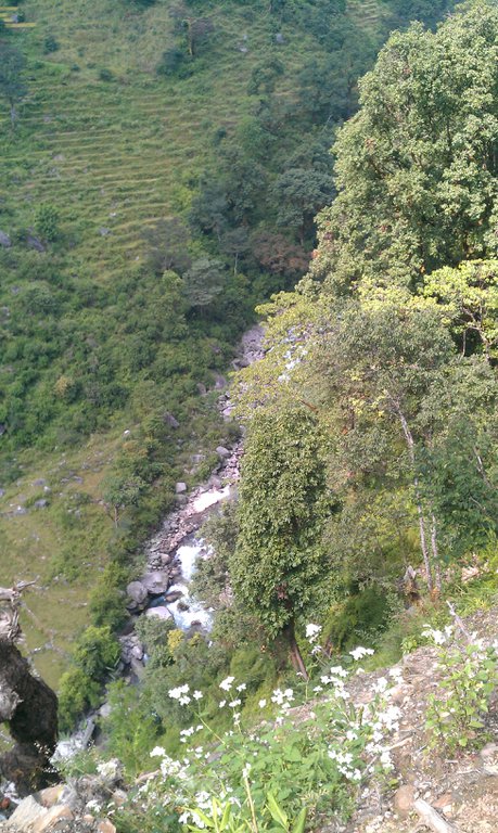 Image IMAG0674.jpg