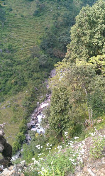 Image IMAG0674.jpg