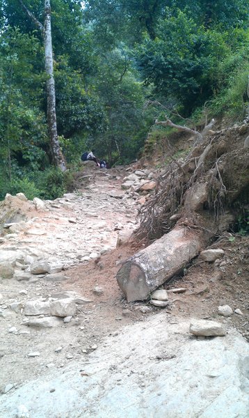 Image IMAG0675.jpg