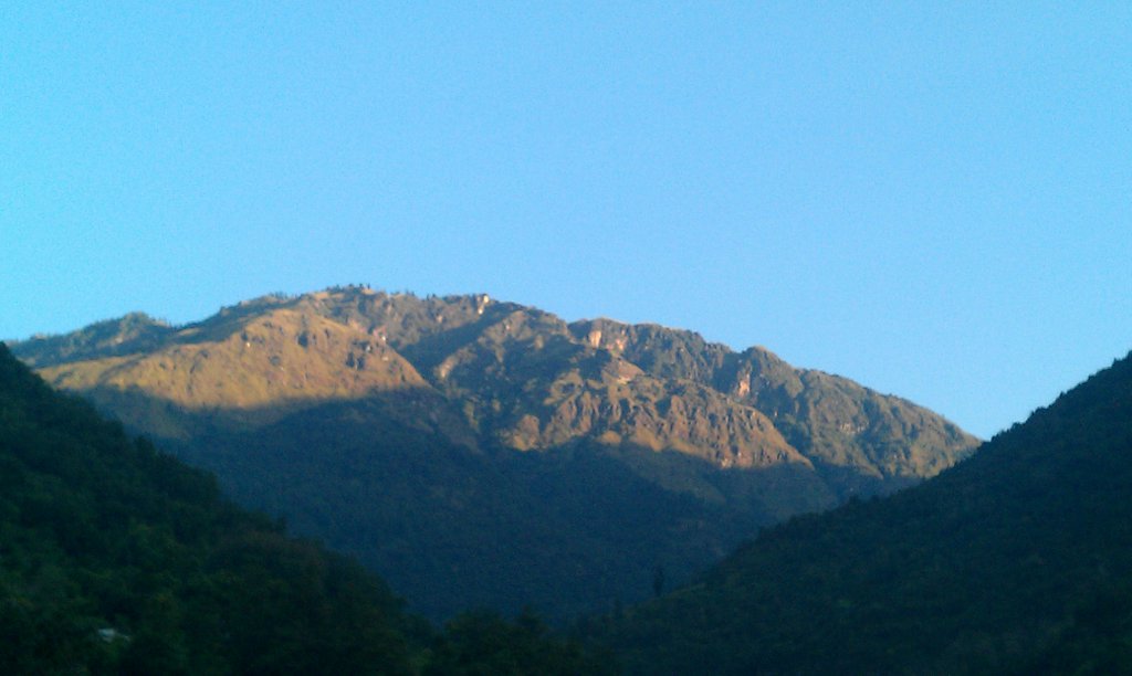 Image IMAG0697.jpg