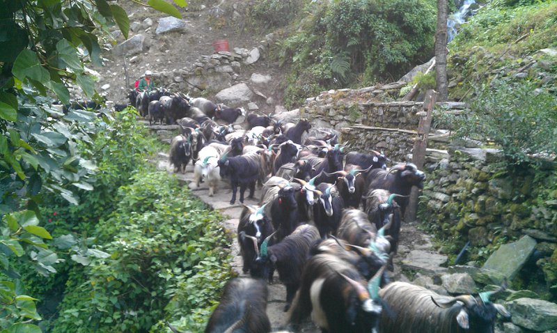 Image IMAG0703.jpg
