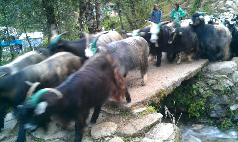 Image IMAG0704.jpg