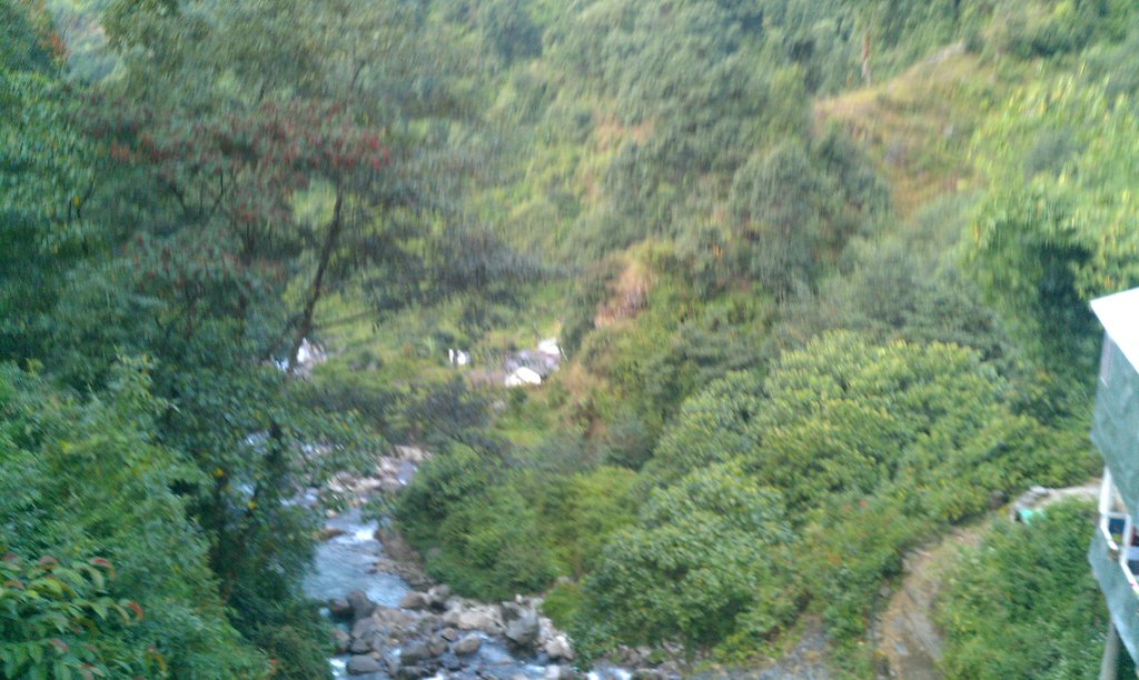 Image IMAG0706.jpg