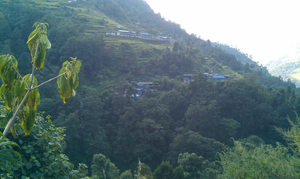 Image IMAG0709.jpg