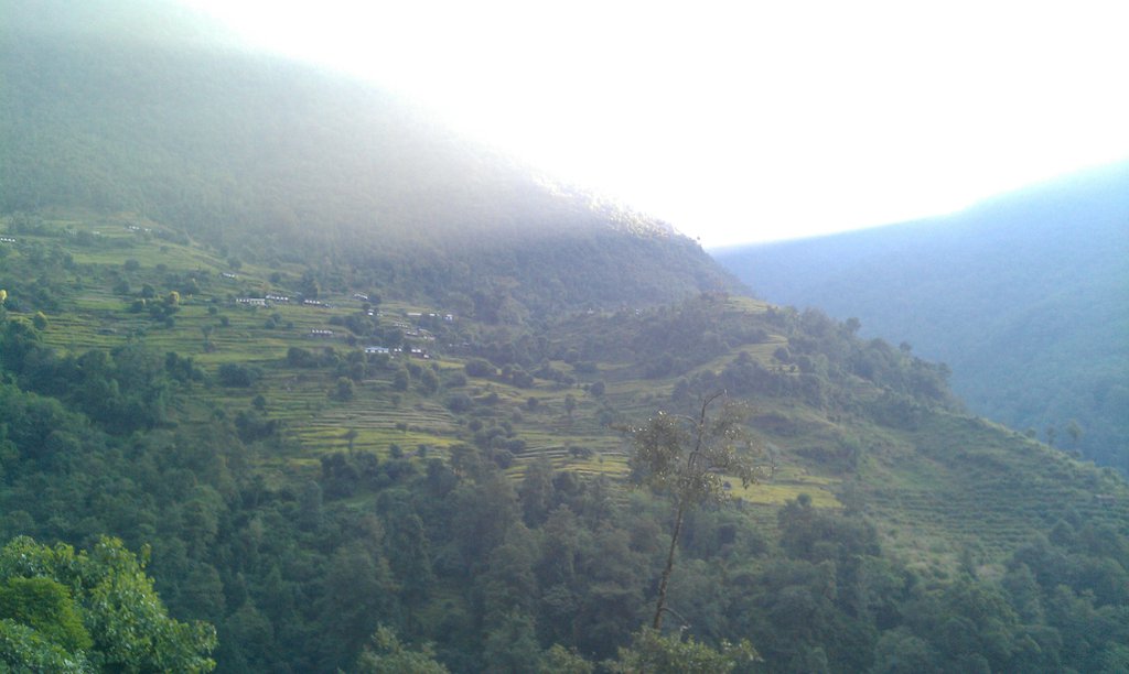 Image IMAG0711.jpg