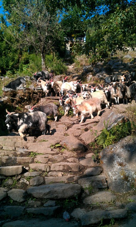 Image IMAG0716.jpg
