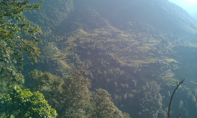 Image IMAG0718.jpg