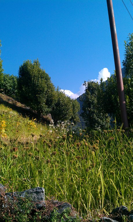 Image IMAG0725.jpg