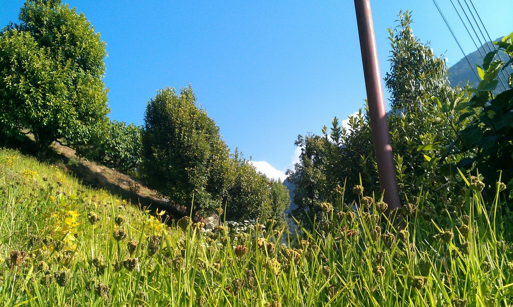 Image IMAG0727.jpg
