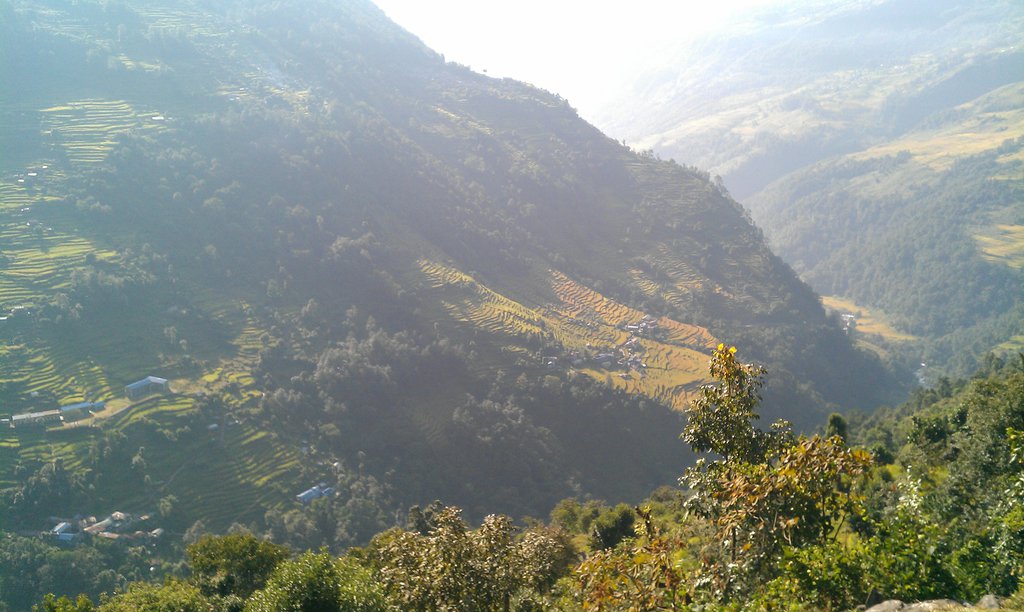 Image IMAG0729.jpg