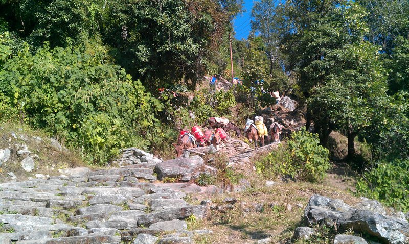 Image IMAG0733.jpg