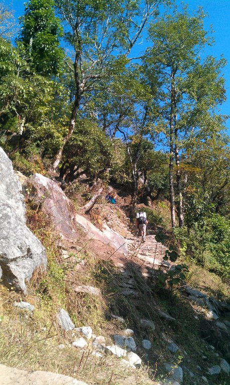 Image IMAG0735.jpg