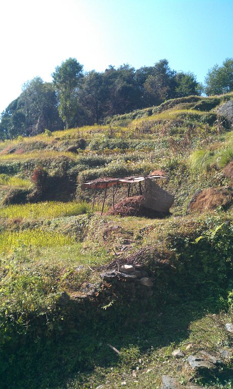 Image IMAG0742.jpg