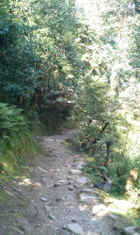 Image IMAG0755.jpg