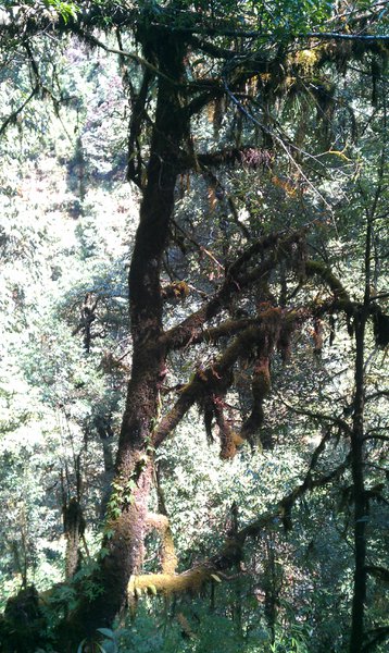 Image IMAG0758.jpg