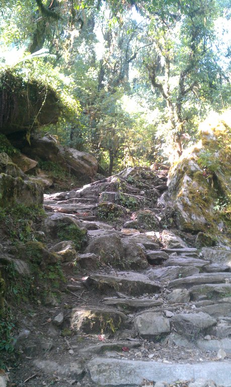 Image IMAG0760.jpg