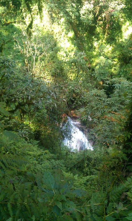 Image IMAG0763.jpg