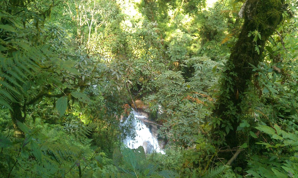 Image IMAG0764.jpg