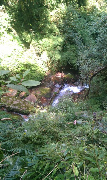 Image IMAG0765.jpg