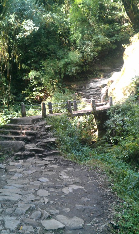 Image IMAG0766.jpg