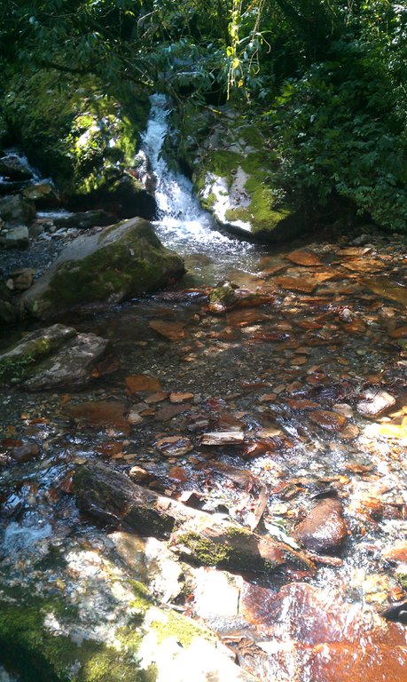 Image IMAG0767.jpg