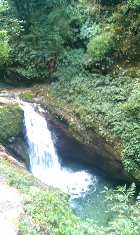 Image IMAG0769.jpg