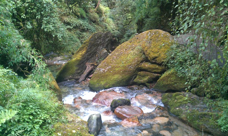 Image IMAG0771.jpg