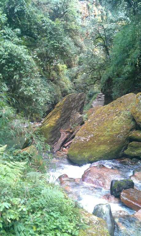 Image IMAG0772.jpg