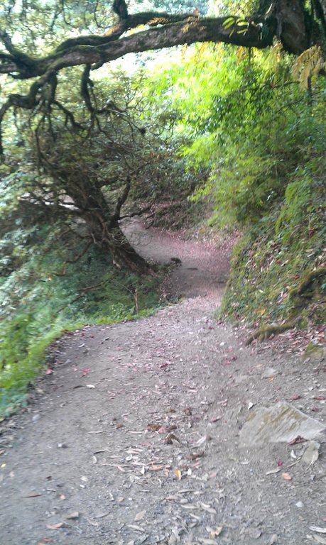 Image IMAG0777.jpg