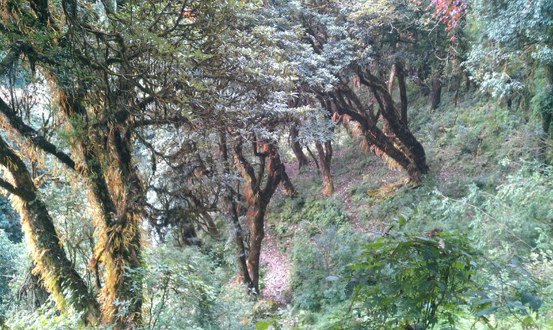 Image IMAG0778.jpg