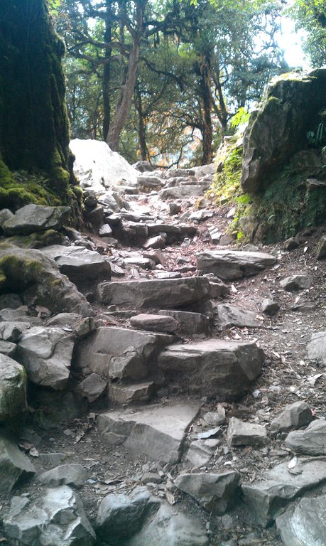 Image IMAG0779.jpg
